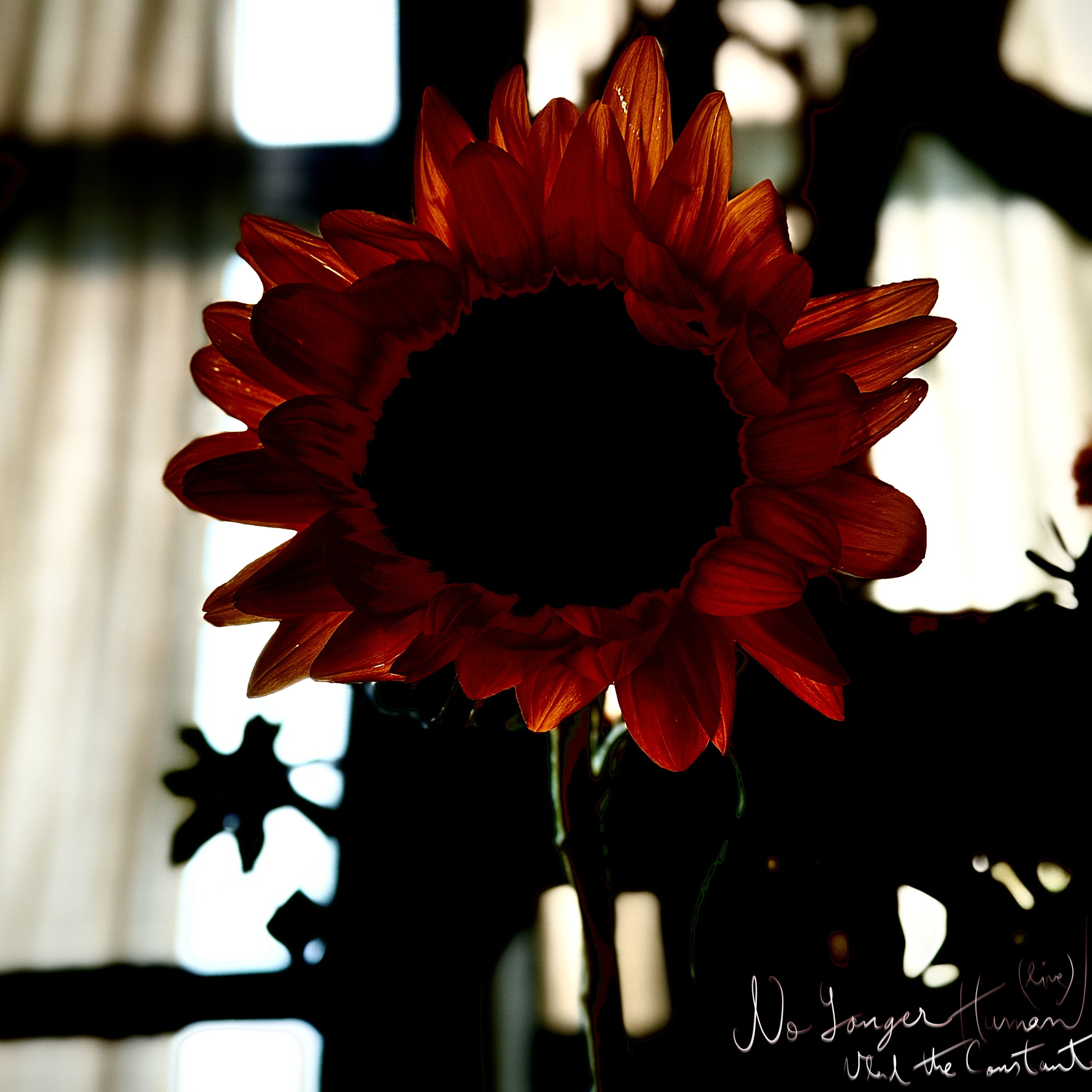 No Longer Human Album Art